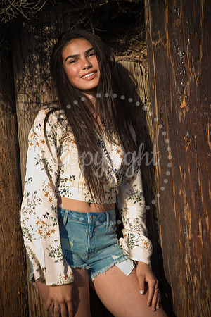Amaris Pre-Pictures_0200