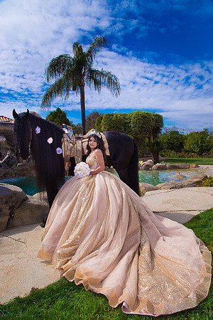 IMG_1591-Edit