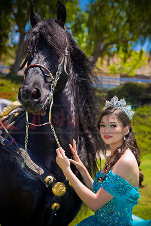 IMG_0883-Edit-Edit