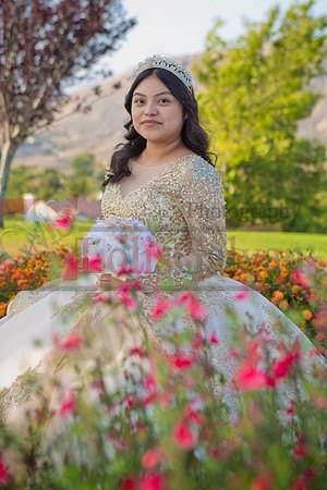 IMG_7398-Edit