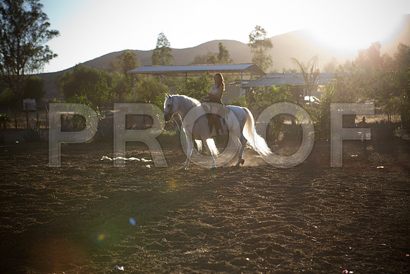 Sam_Pre_098