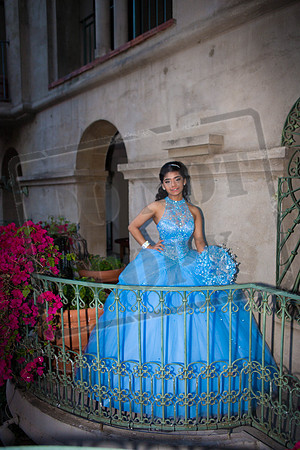 Daphne_Pre_0224