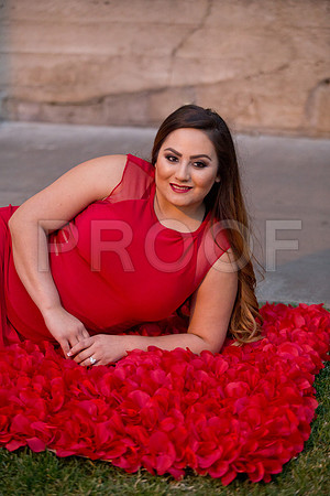Lizette_and_Garrett_Pre_0095