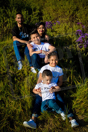 06.23.18 Gerardo & Norma Pre-Pic_0226