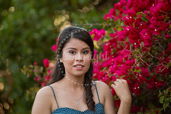 Ashley_Pre_157