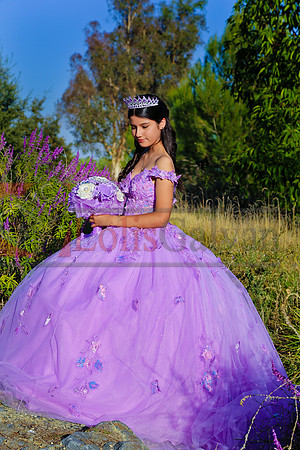 IMG_5977-Edit-Edit