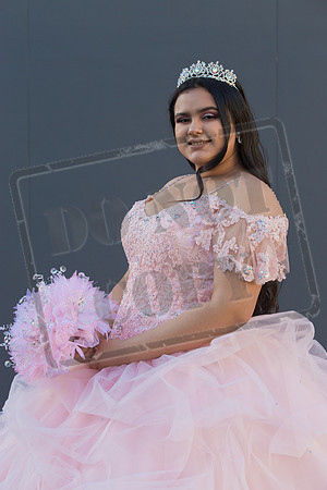 Rosale Ortiz Pre-pictures_0214