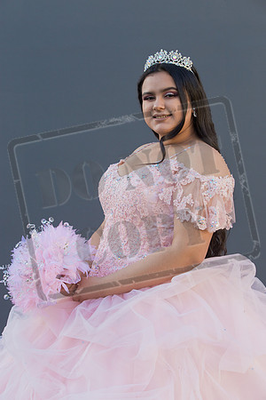 Rosale Ortiz Pre-pictures_0213