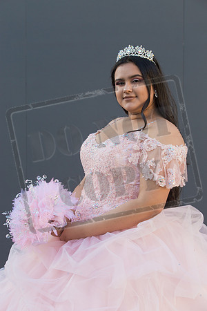 Rosale Ortiz Pre-pictures_0212