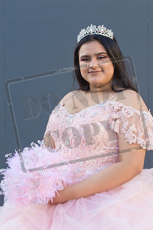 Rosale Ortiz Pre-pictures_0210