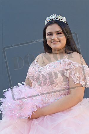 Rosale Ortiz Pre-pictures_0209