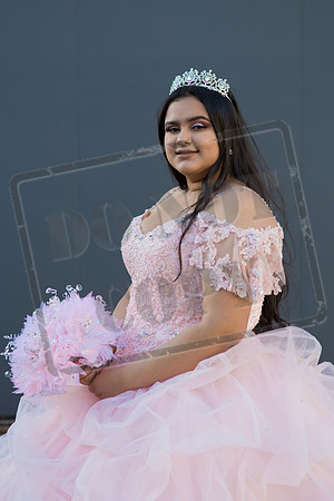 Rosale Ortiz Pre-pictures_0208