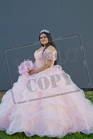 Rosale Ortiz Pre-pictures_0207