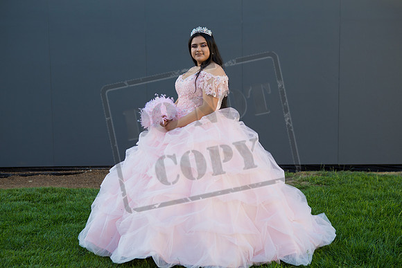 Rosale Ortiz Pre-pictures_0206