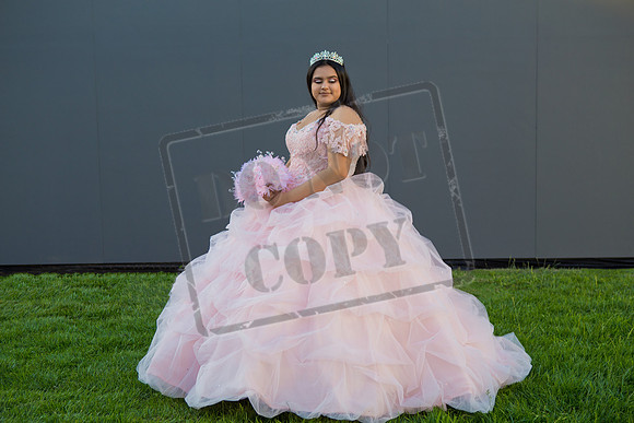 Rosale Ortiz Pre-pictures_0203
