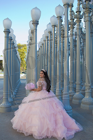 Rosale Ortiz Pre-pictures_0182