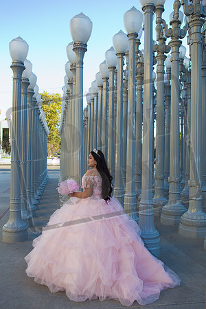 Rosale Ortiz Pre-pictures_0181