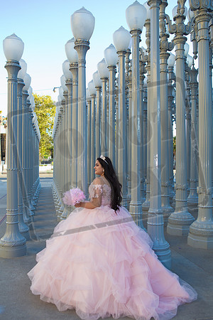 Rosale Ortiz Pre-pictures_0180