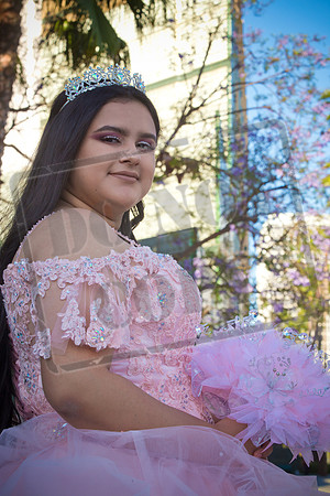 Rosale Ortiz Pre-pictures_0169