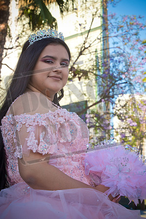 Rosale Ortiz Pre-pictures_0168