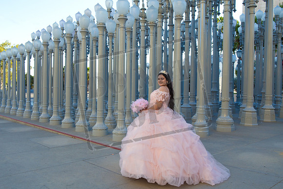 Rosale Ortiz Pre-pictures_0155