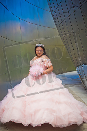Rosale Ortiz Pre-pictures_0152