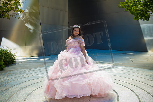 Rosale Ortiz Pre-pictures_0146