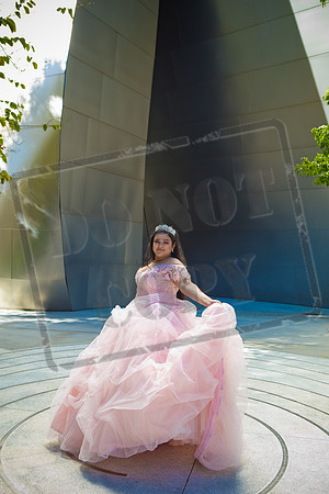 Rosale Ortiz Pre-pictures_0142