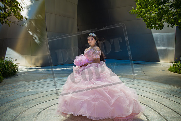 Rosale Ortiz Pre-pictures_0139