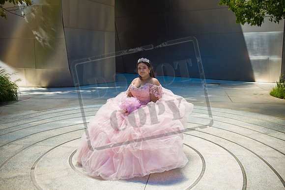 Rosale Ortiz Pre-pictures_0131