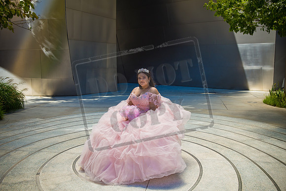 Rosale Ortiz Pre-pictures_0130