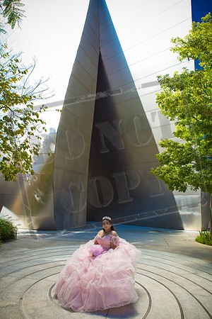 Rosale Ortiz Pre-pictures_0129