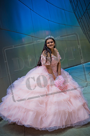 Rosale Ortiz Pre-pictures_0119
