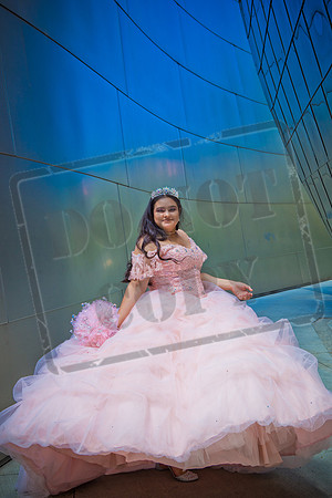 Rosale Ortiz Pre-pictures_0117