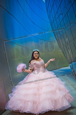 Rosale Ortiz Pre-pictures_0114