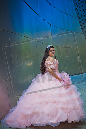 Rosale Ortiz Pre-pictures_0111