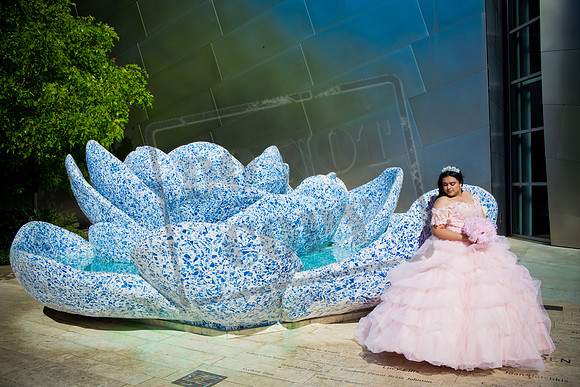 Rosale Ortiz Pre-pictures_0106