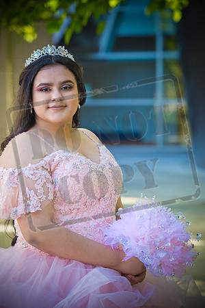 Rosale Ortiz Pre-pictures_0104