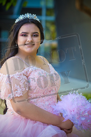 Rosale Ortiz Pre-pictures_0103