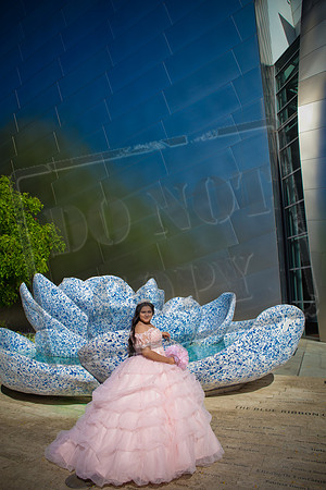 Rosale Ortiz Pre-pictures_0102