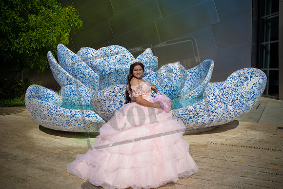 Rosale Ortiz Pre-pictures_0100