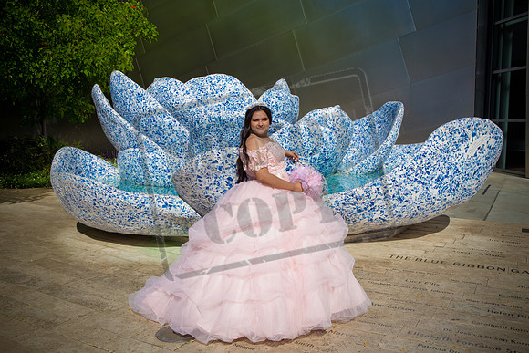Rosale Ortiz Pre-pictures_0099