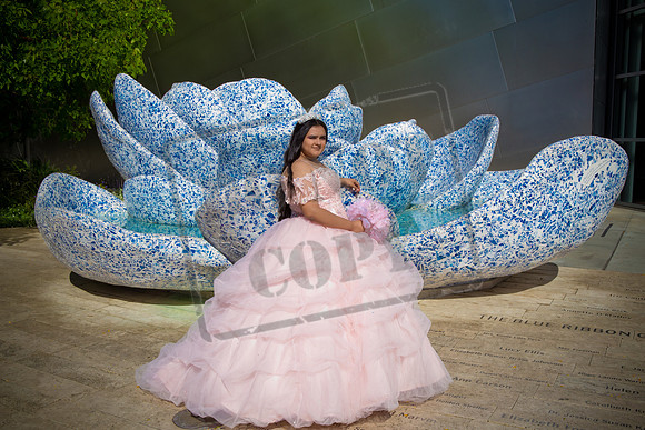 Rosale Ortiz Pre-pictures_0098