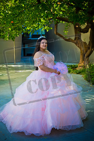 Rosale Ortiz Pre-pictures_0097