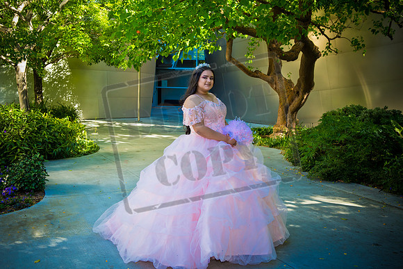 Rosale Ortiz Pre-pictures_0095