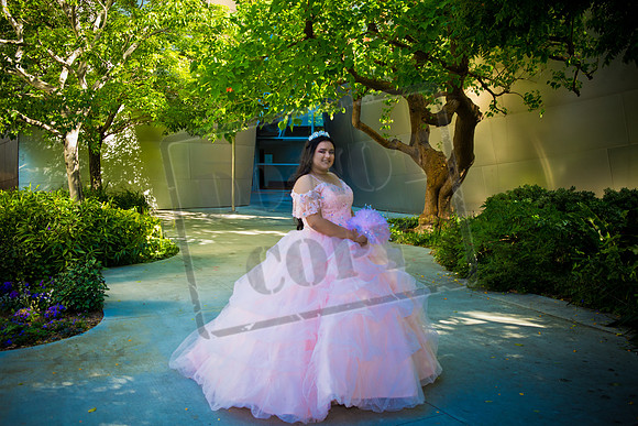 Rosale Ortiz Pre-pictures_0094