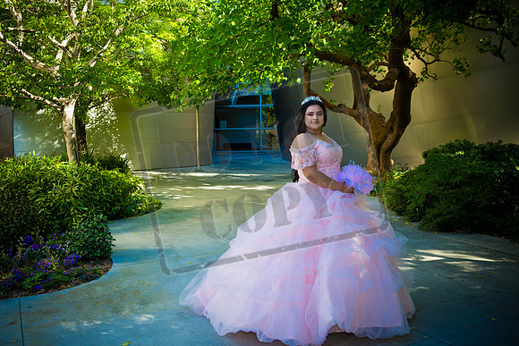 Rosale Ortiz Pre-pictures_0093