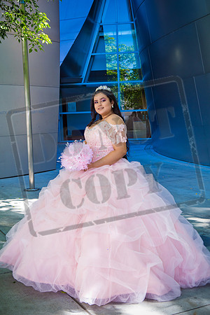 Rosale Ortiz Pre-pictures_0092