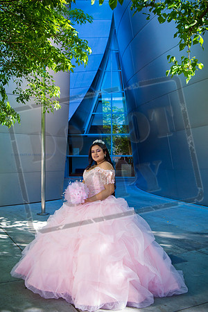Rosale Ortiz Pre-pictures_0091
