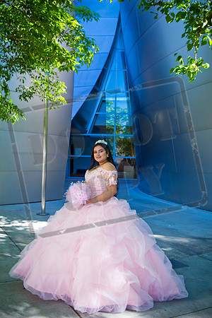 Rosale Ortiz Pre-pictures_0090